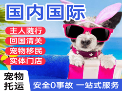 白云空运公司国际宠物托运 【国